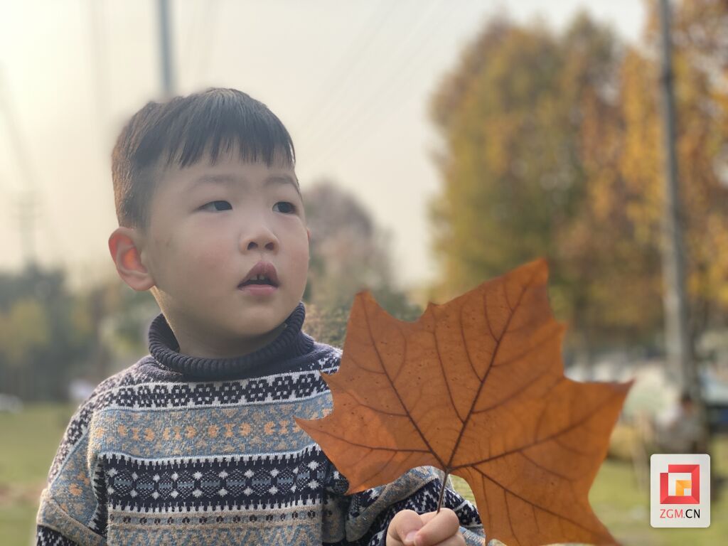 微信图片_20231209165130.jpg