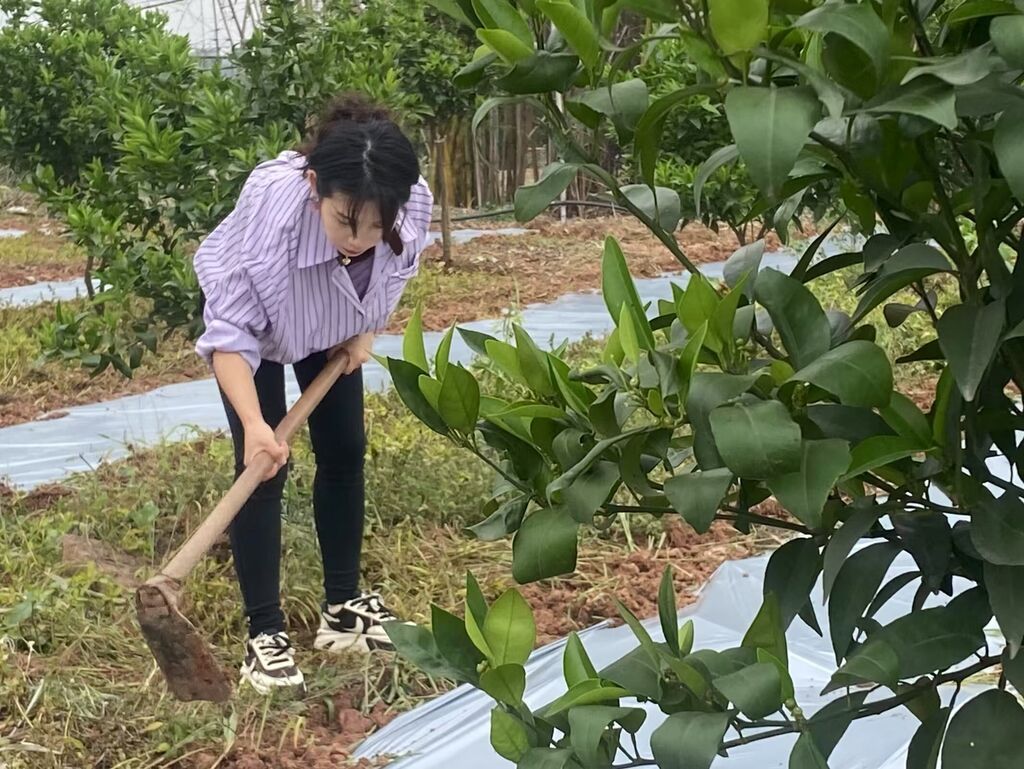 微信圖片_20250306101924.jpg