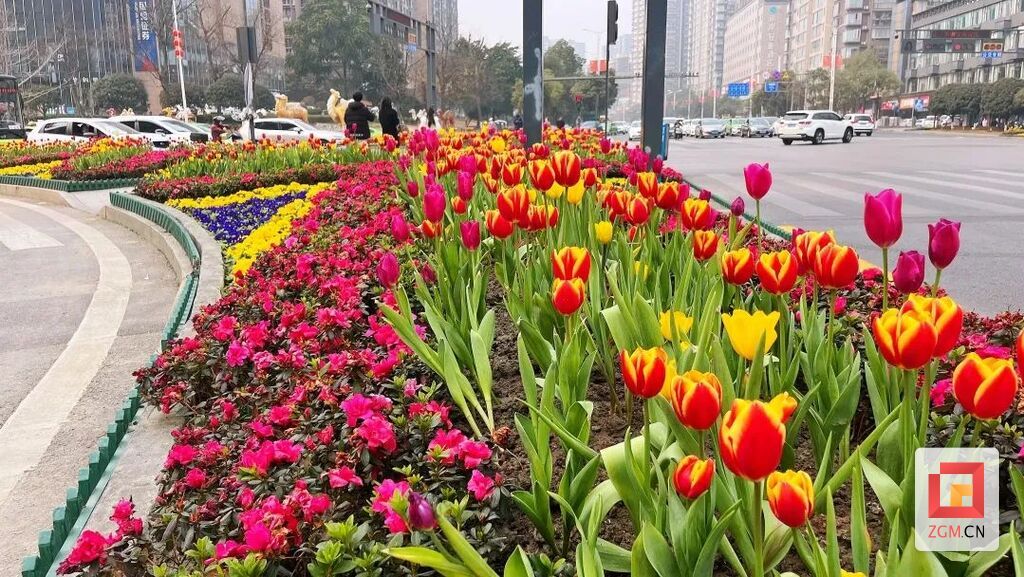 微信圖片_20230220094819.jpg