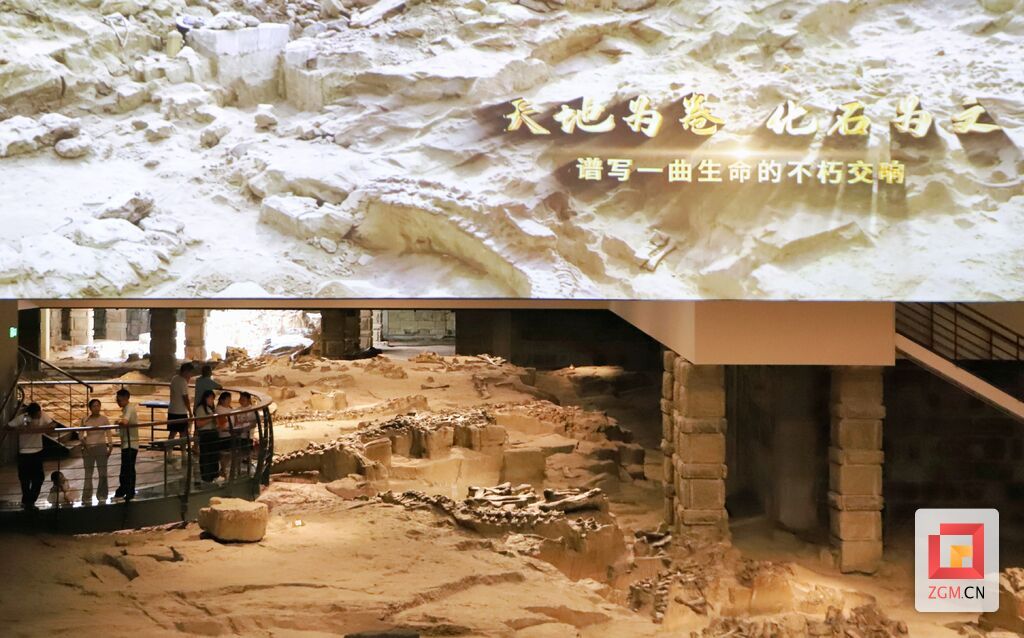 大山铺中侏罗世恐龙化石遗址群实景.jpg