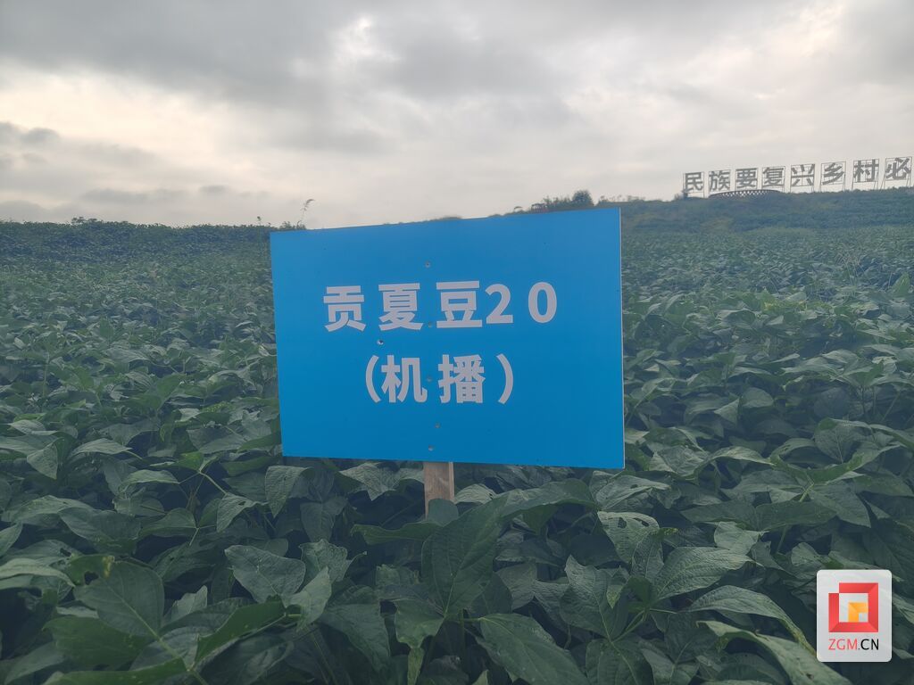 微信图片_20250910120850.jpg