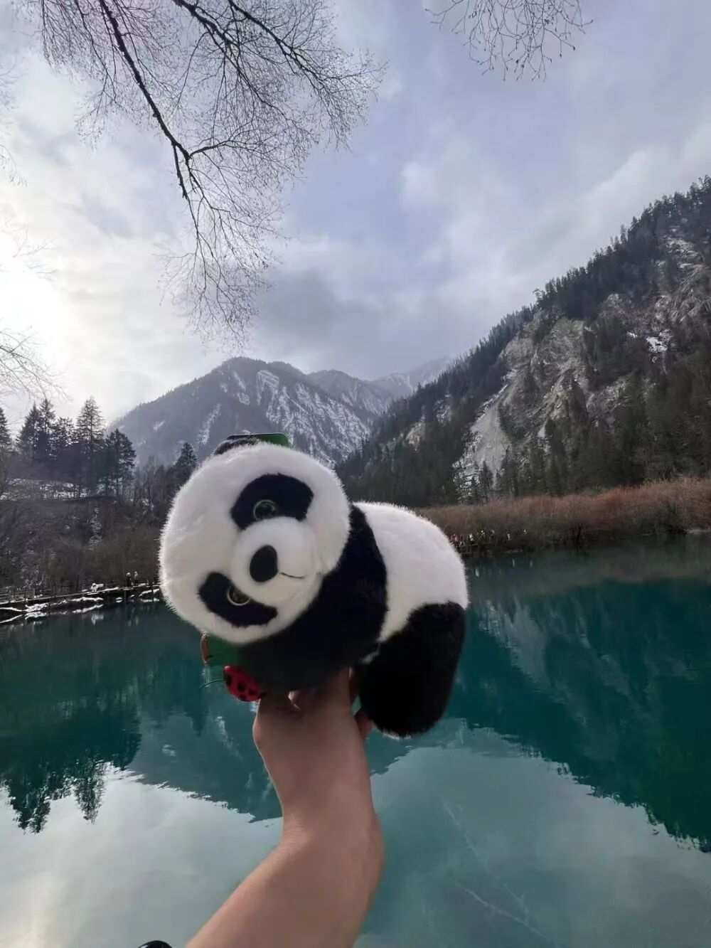 圖片