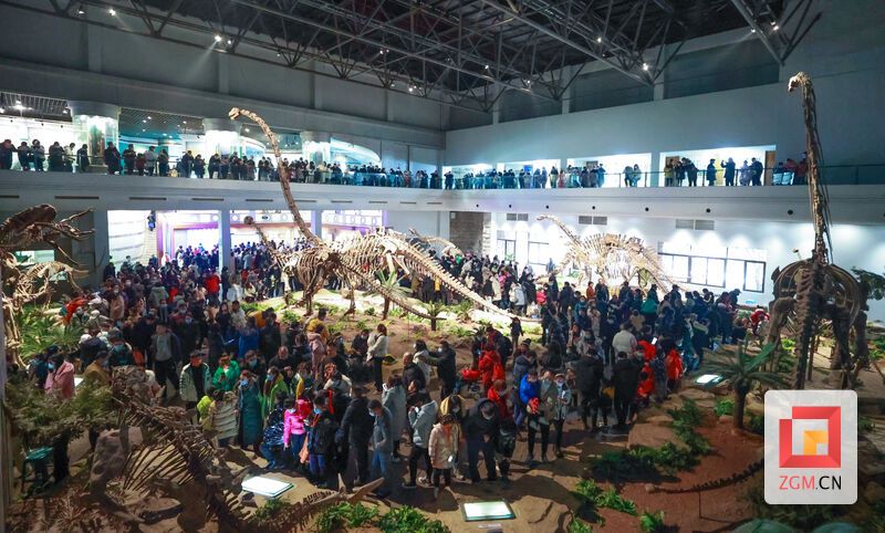 自贡恐龙博物馆内  记者 叶卫东 摄.jpg