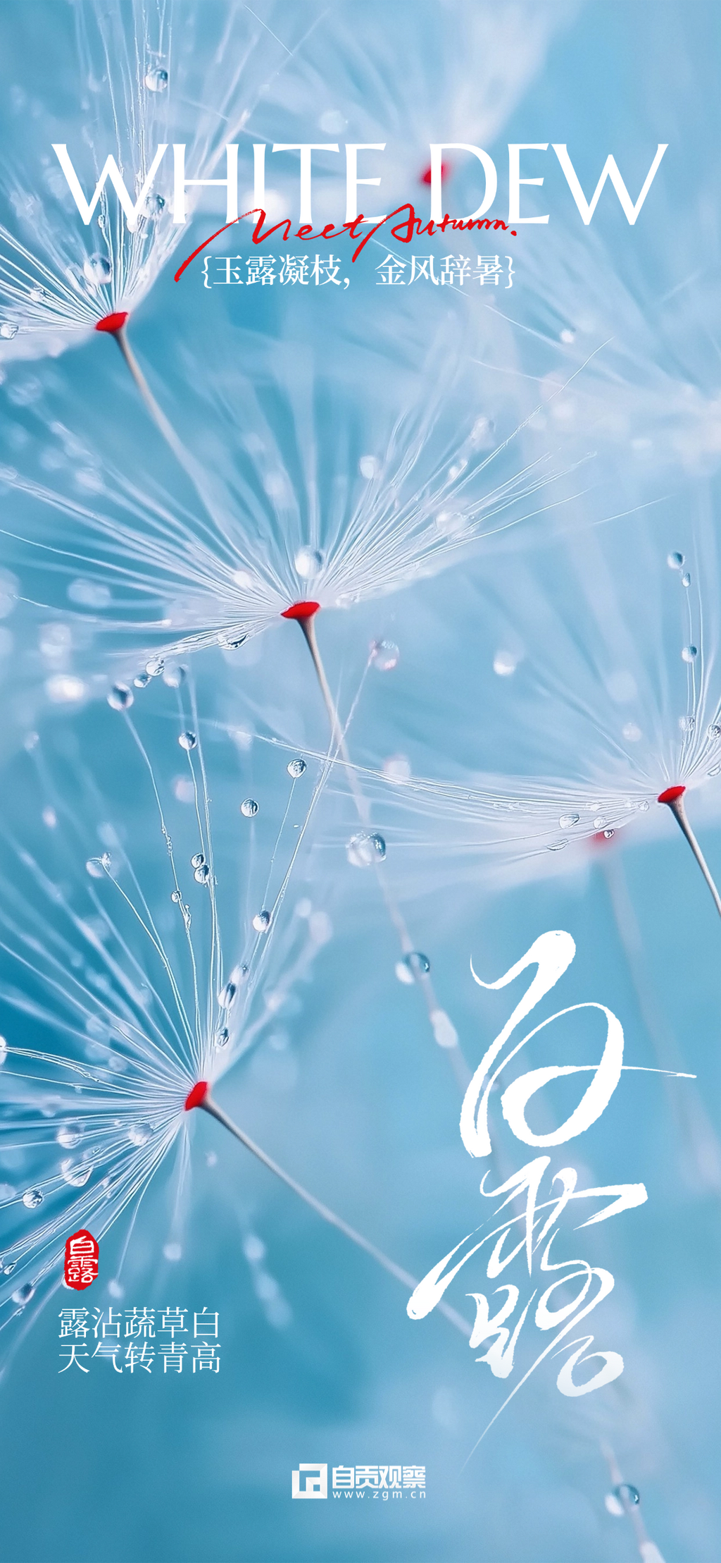白露节气祝福实景感全屏竖版海报AIGC(1).png