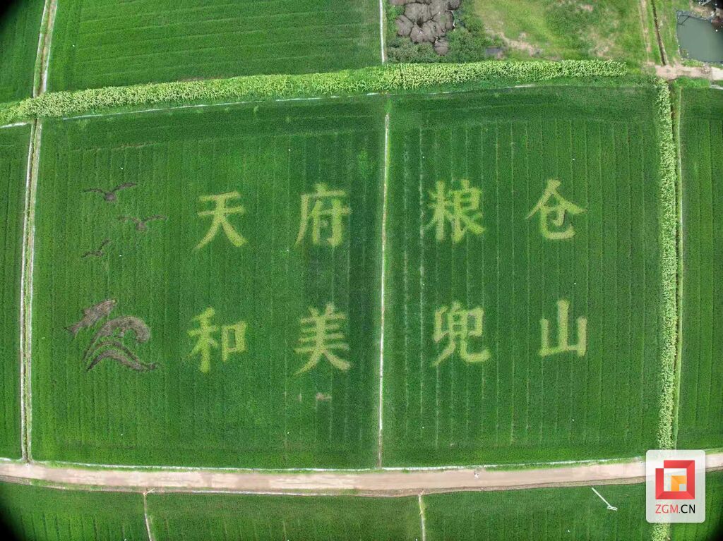 微信图片_20260816154647_704_172.jpg