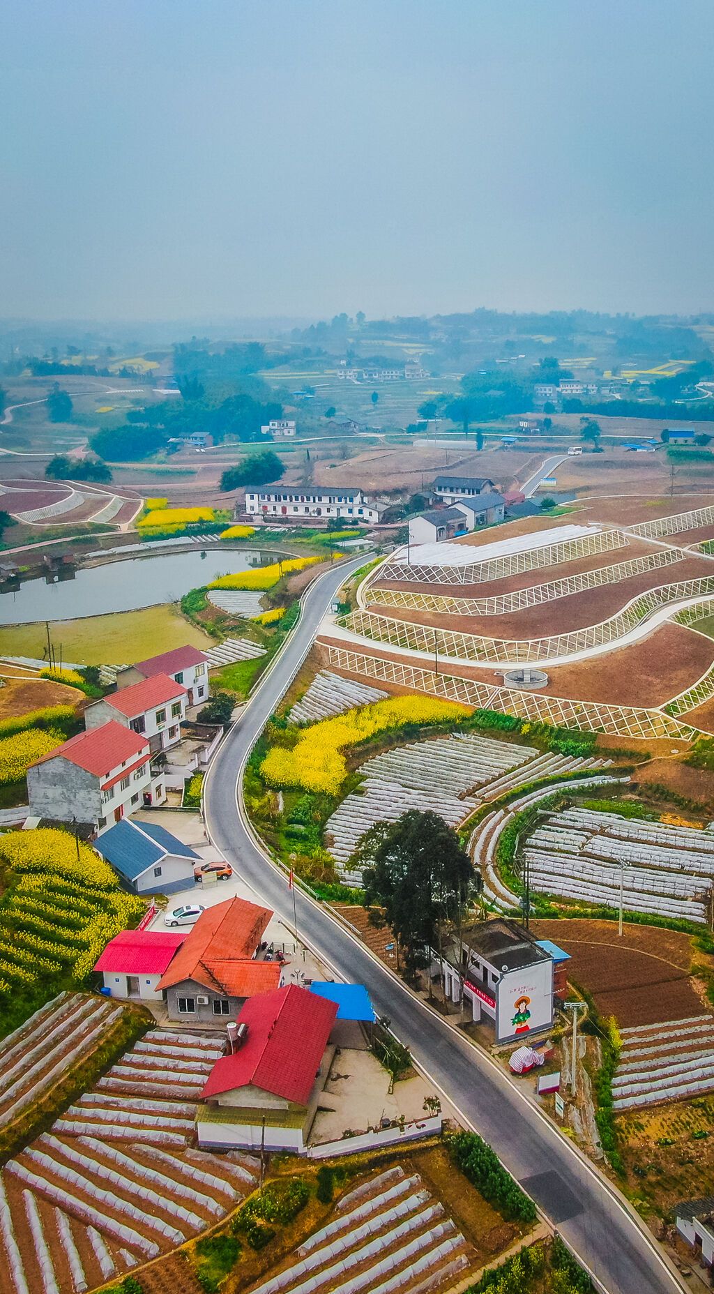 DJI_0854.jpg