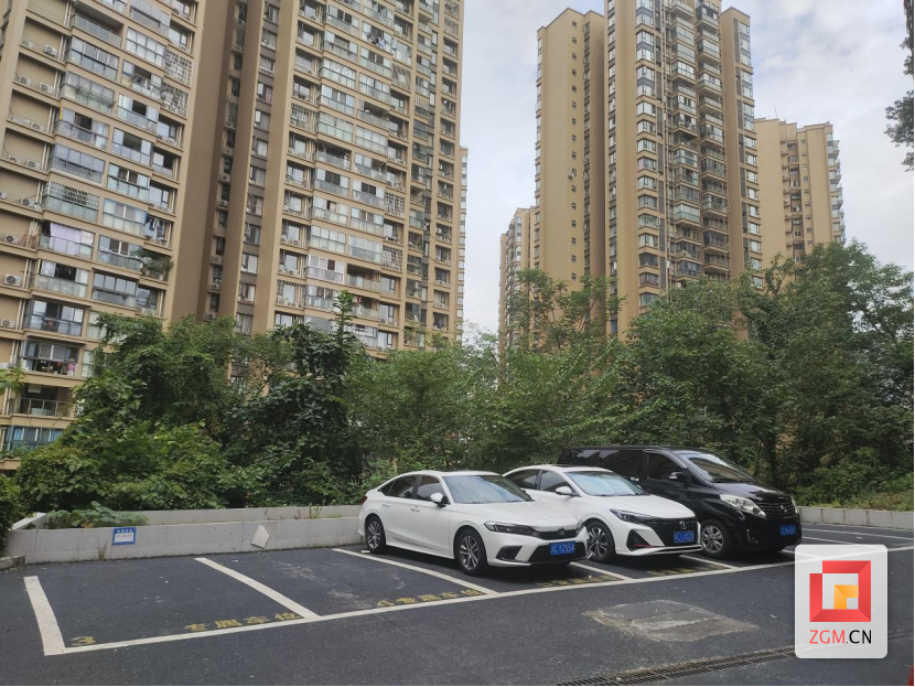 红色引领建家园，老旧小区换新颜988.png