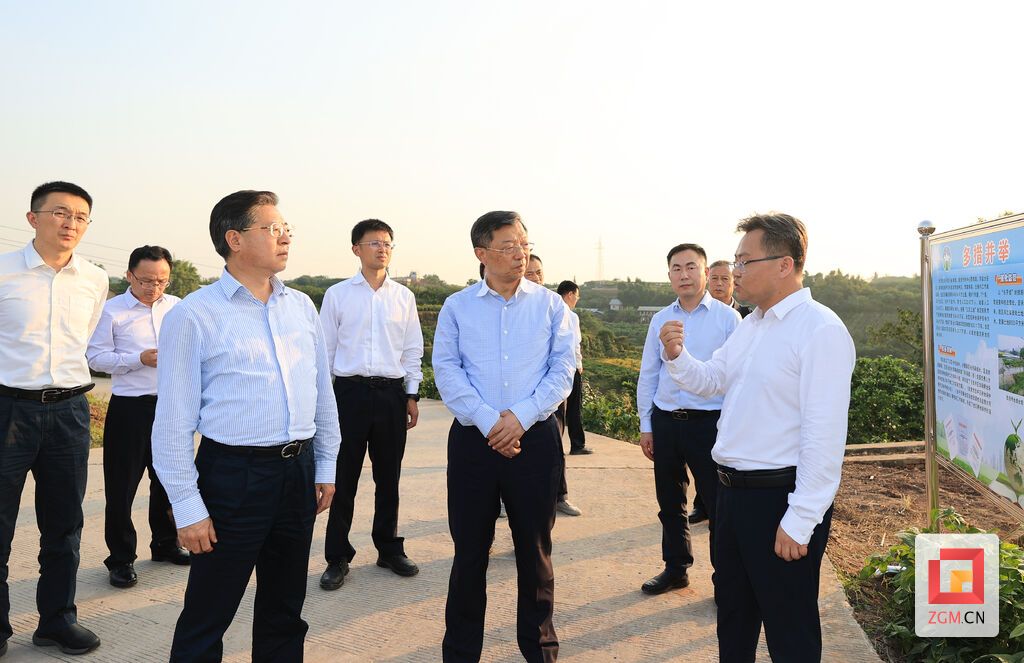 貢井成佳鎮(zhèn)調(diào)研耕地保護(hù).jpg
