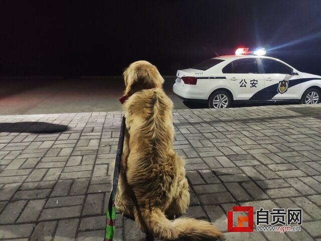 QQ圖片20200316094735.jpg
