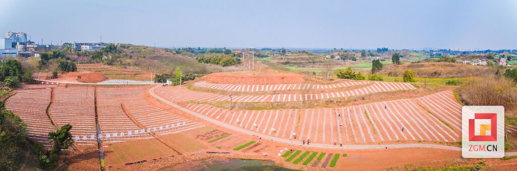 九洪乡土地连片开发.jpg
