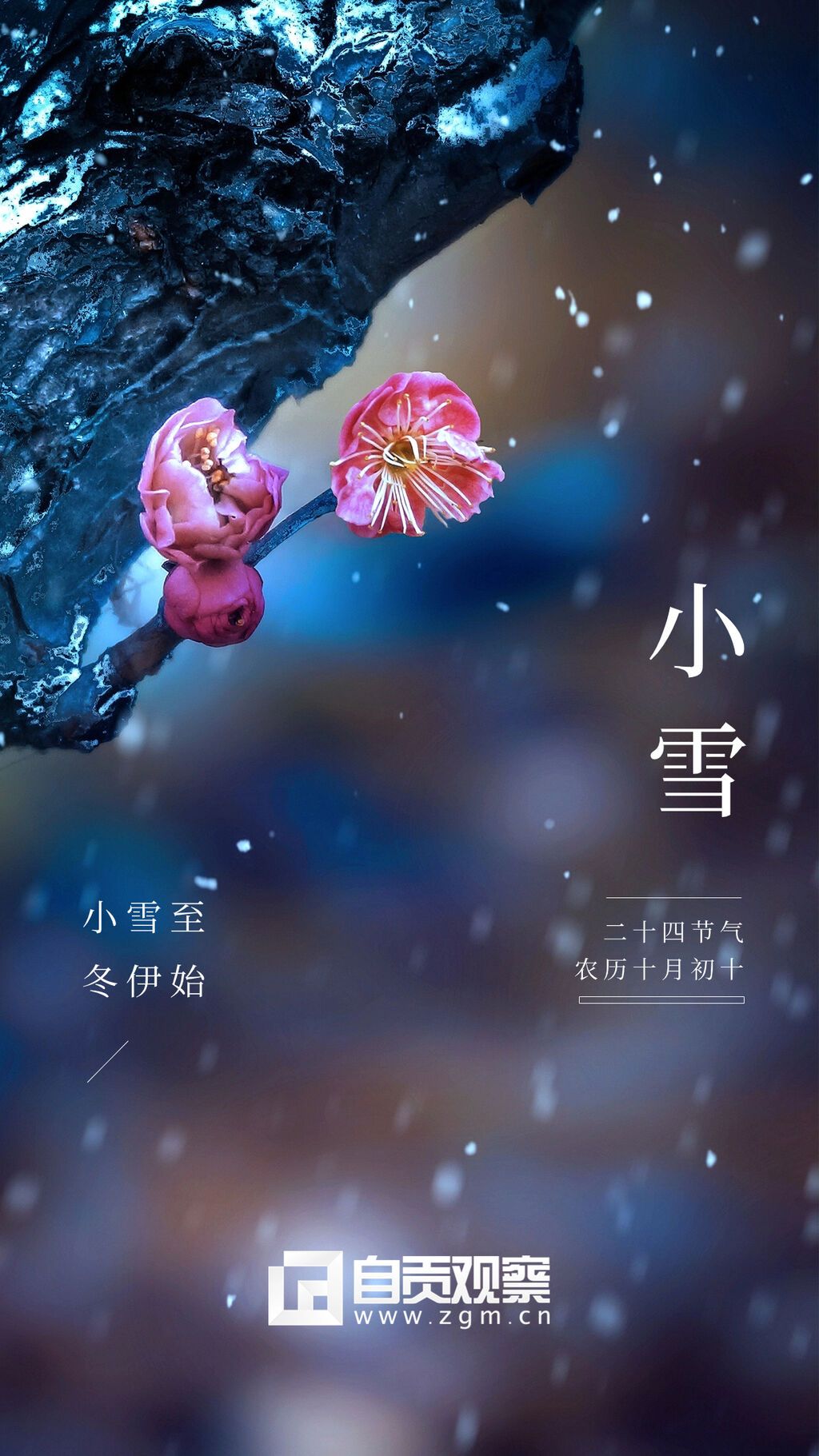 小雪節(jié)氣祝福問(wèn)候?qū)嵕笆謾C(jī)海報(bào).jpg
