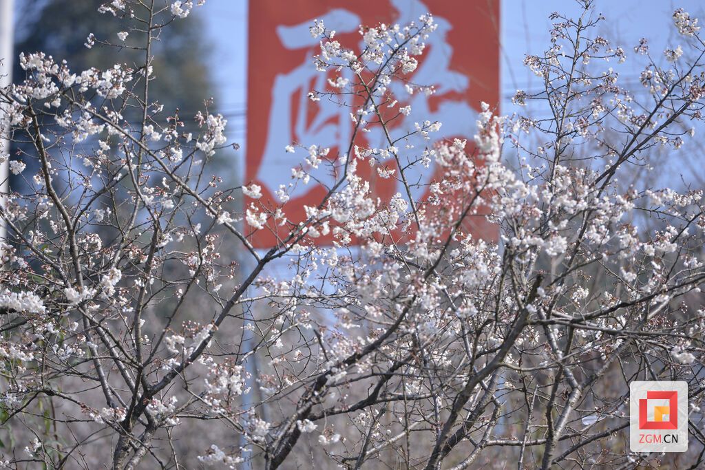 下载图片 (1).jpg