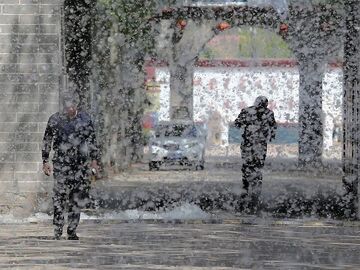 飞絮期提前 警惕“易燃性”堪比汽油