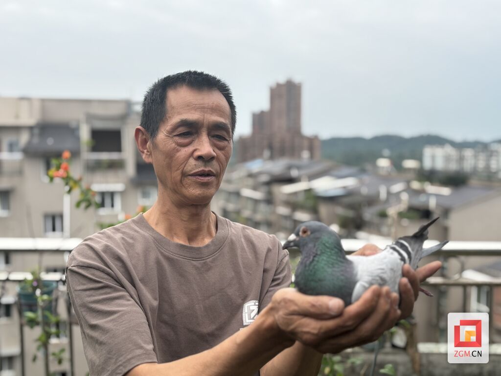 微信图片_20260603132547_408_11.jpg
