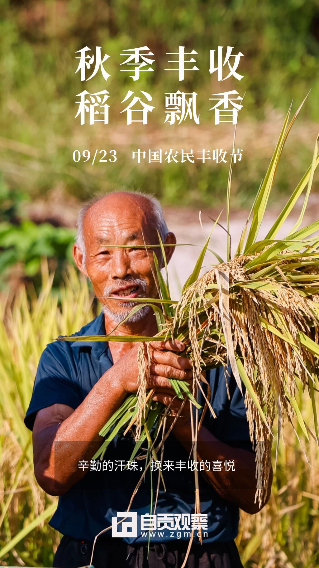通用中國(guó)農(nóng)民豐收節(jié)宣傳清新感手機(jī)海報(bào).jpg