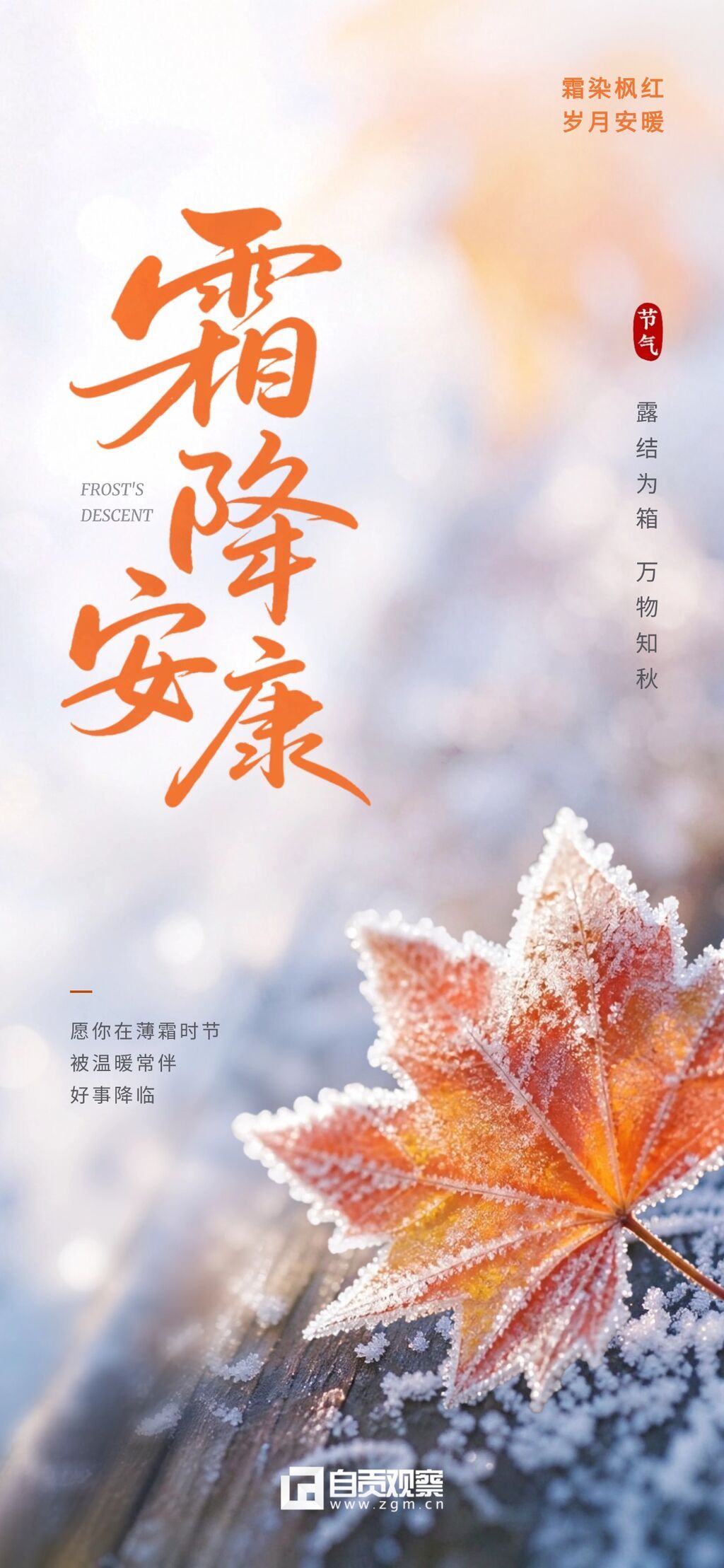 霜降节气国风海报。画面展示二十四节气中的霜降主题,以覆盖白霜的秋叶为视觉主体,搭配传统书法大字,背景呈现暖色调光影效果。.jpg