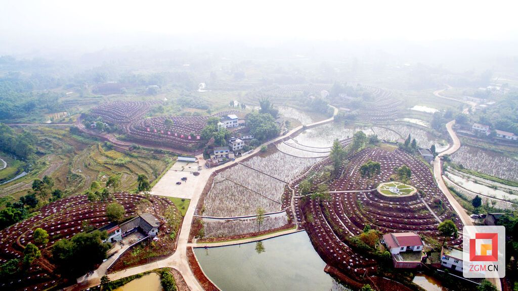 下载图片 (1).jpg