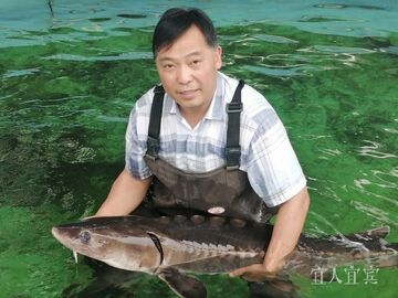 宜宾长宁:三十载坚守深山 周亮为长江鲟守住生命火种