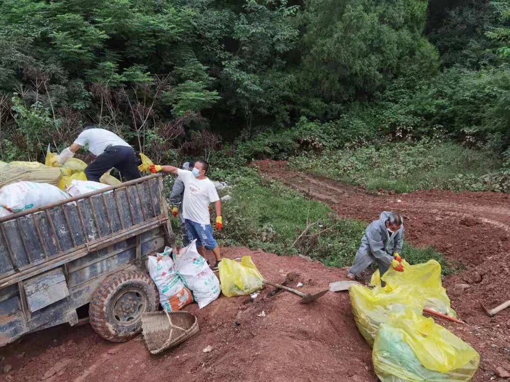 迅速整改，清理转运处置