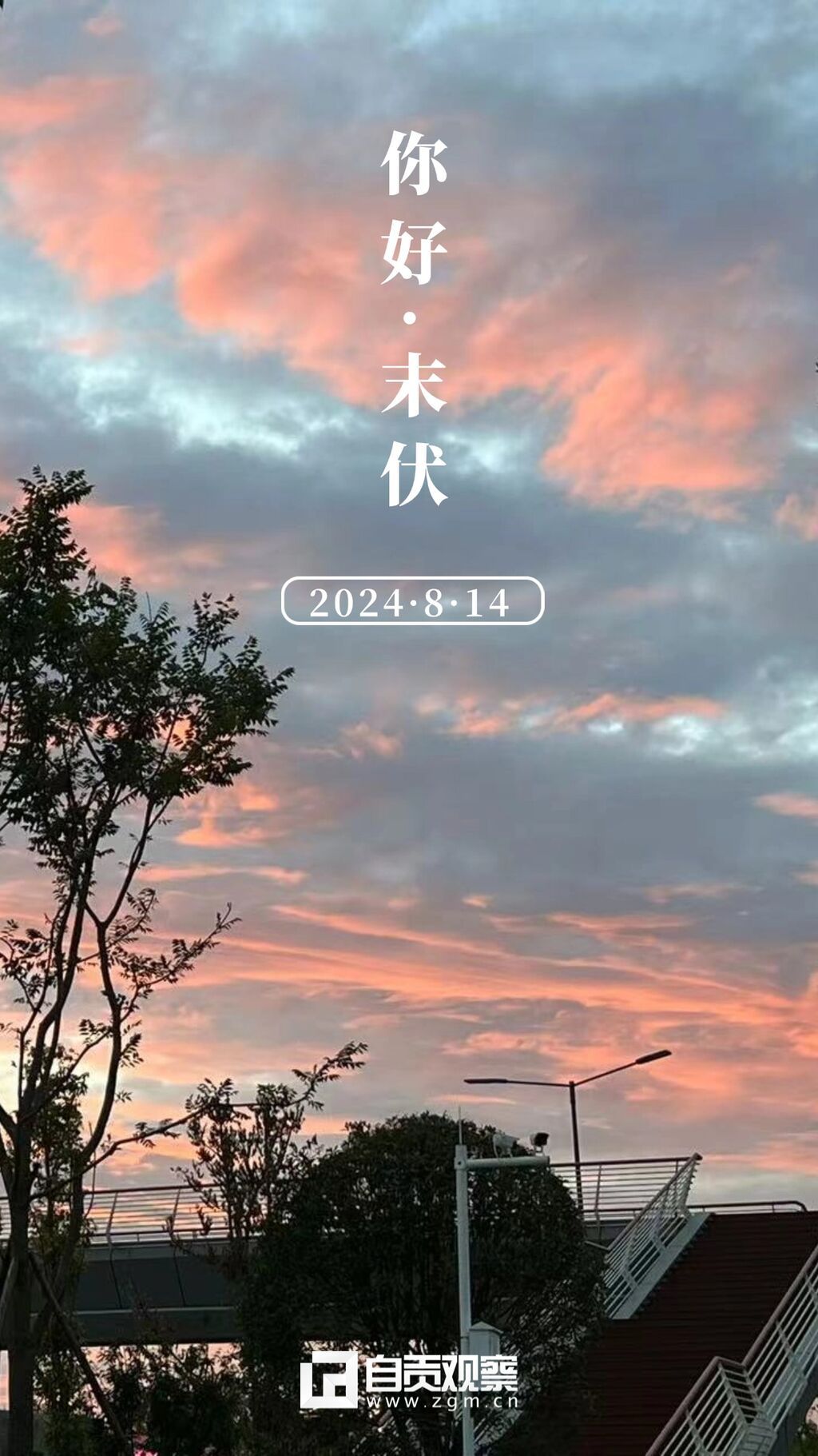 bd8f99c66beb6b1b3b373441c900cc99_.jpg