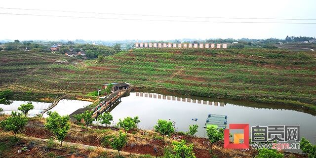 中農(nóng)聯(lián)柑桔示范園.jpg