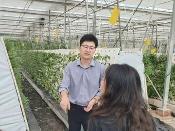 我的乡村超安逸丨手机管大棚、技术带乡亲，这位雅安新农人太牛了！