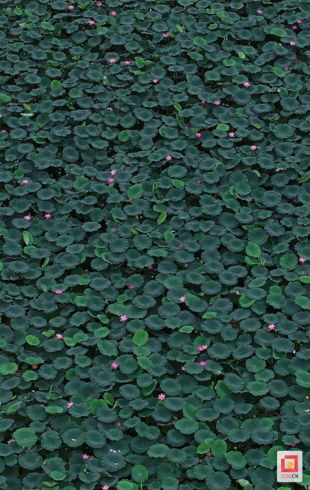 微信图片_20260817143150_87_18.jpg