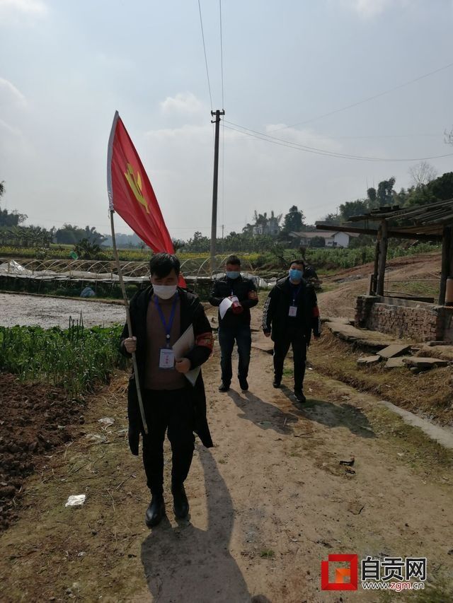 富顺县琵琶镇顺江村党员志愿者走村入户宣传.jpg