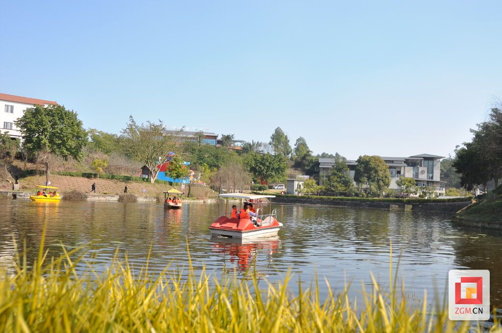 DSC_0087.JPG