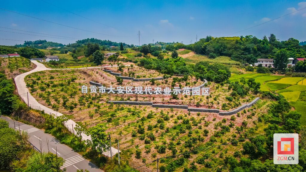 DJI_0510.jpg
