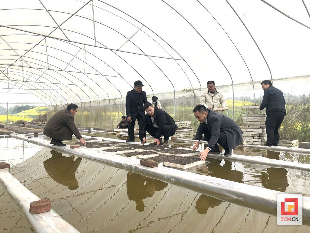 下载图片.jpg