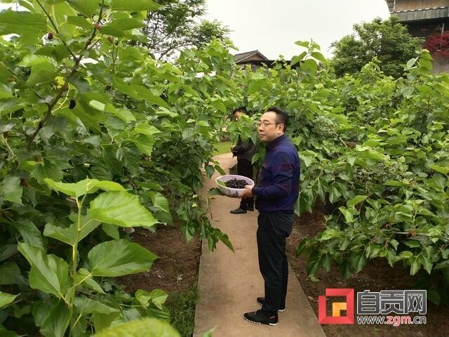 微信图片_20200422142433.jpg