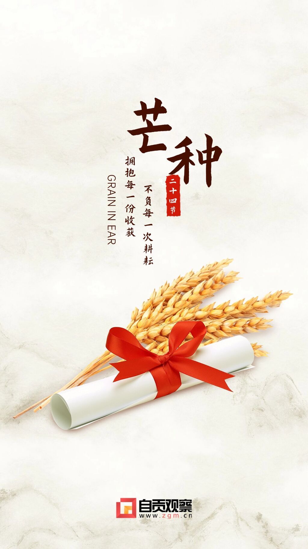 芒种节气实景高考加油手机海报.jpg