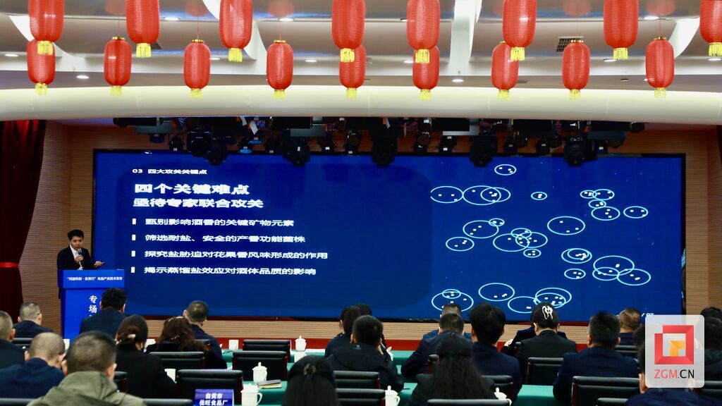 微信图片_20261028184437_410_29.jpg