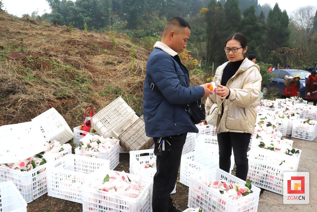 下载图片 (80).jpg