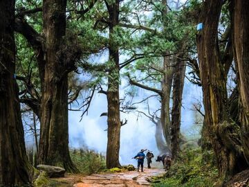 广元剑门蜀道（翠云廊）获2025全球可持续“地球家园”范例奖