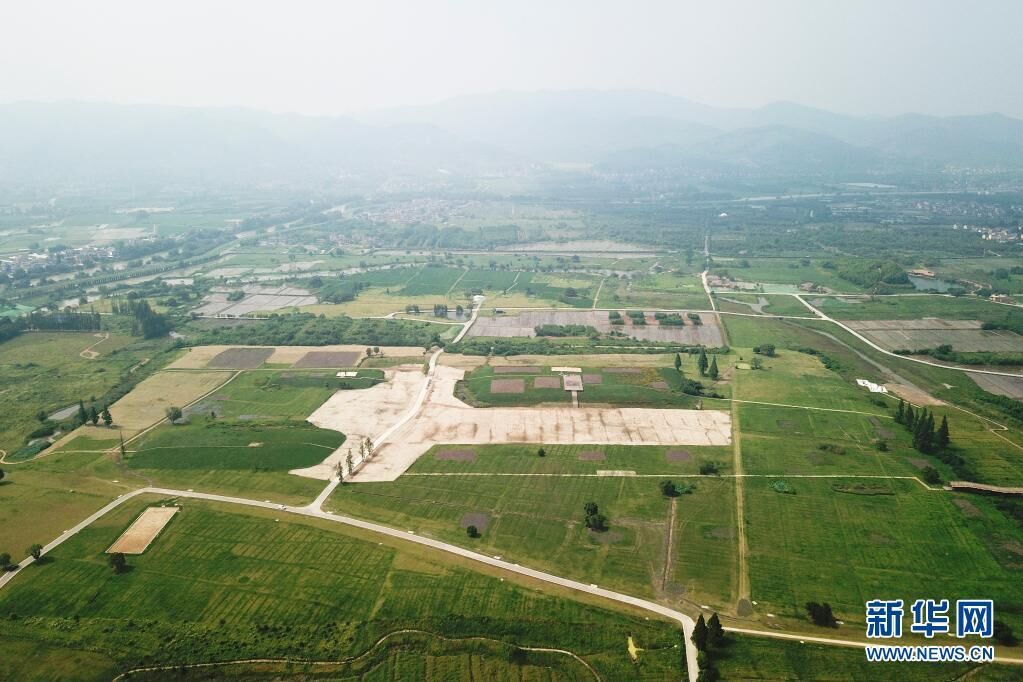 这是位于浙江省杭州市的良渚国家考古遗址公园（2019年6月23日摄，无人机照片）。新华社记者 黄宗治 摄