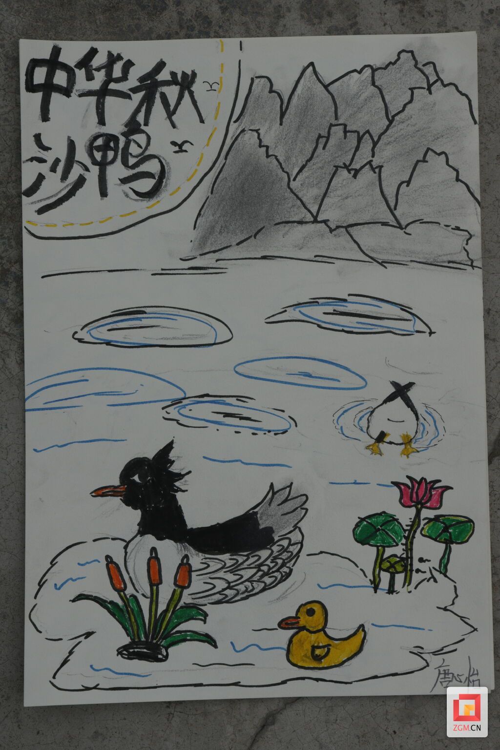 琵琶镇开展中华秋沙鸭绘画活动1.jpg
