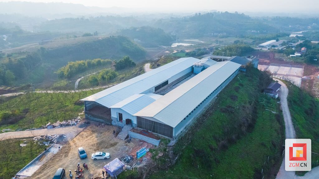 DJI_0990.jpg