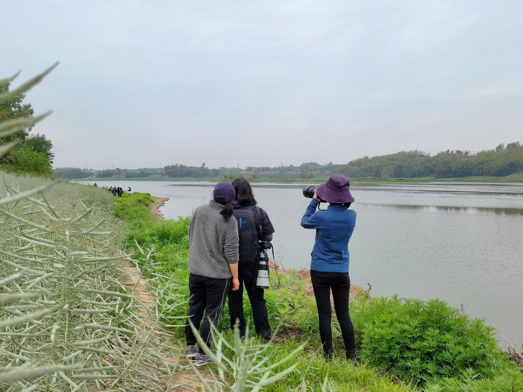 沿江開展鳥調(diào).jpg