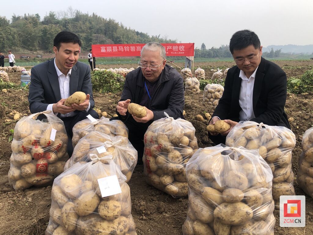 微信圖片_20250408161200.jpg