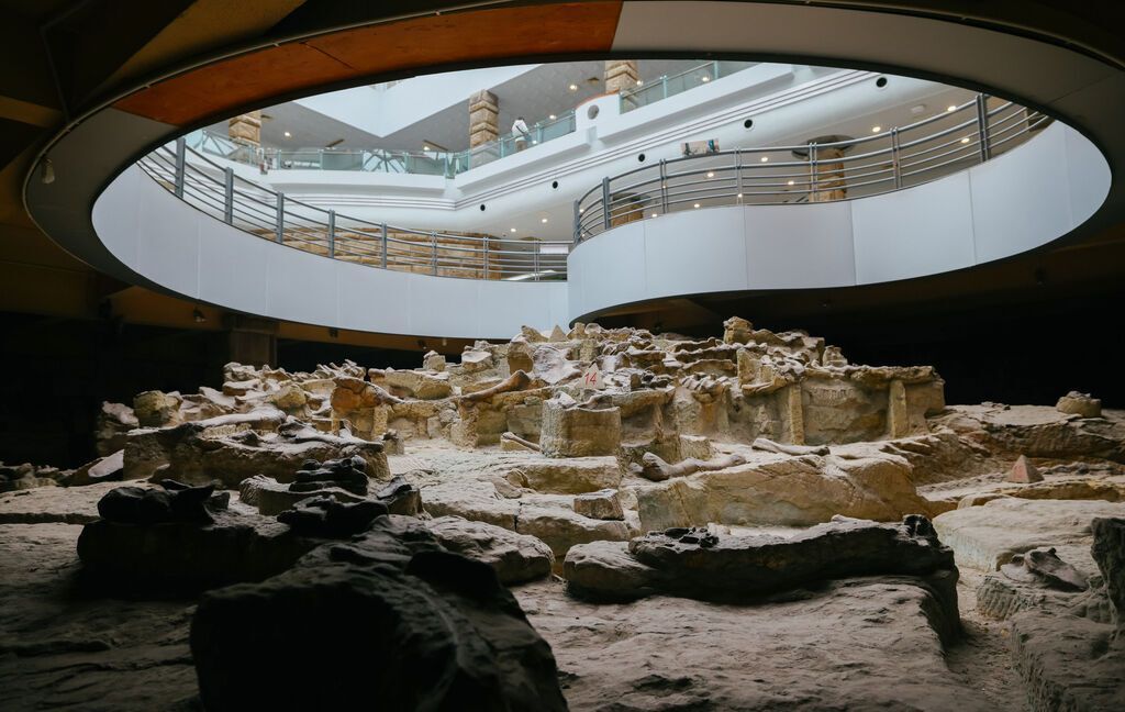 保留完好的恐龙遗迹 记者 宋姿熠 摄.jpg