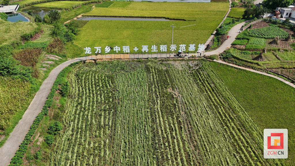 微信图片_20260812191646_672_172.png