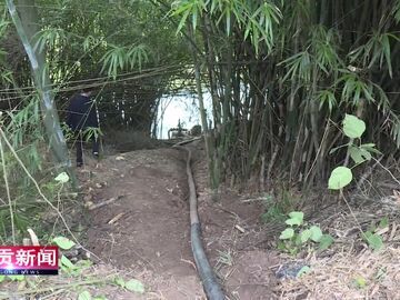 自贡新闻｜修好产业路 引来灌溉水 白果冲村夯实产业振兴基底