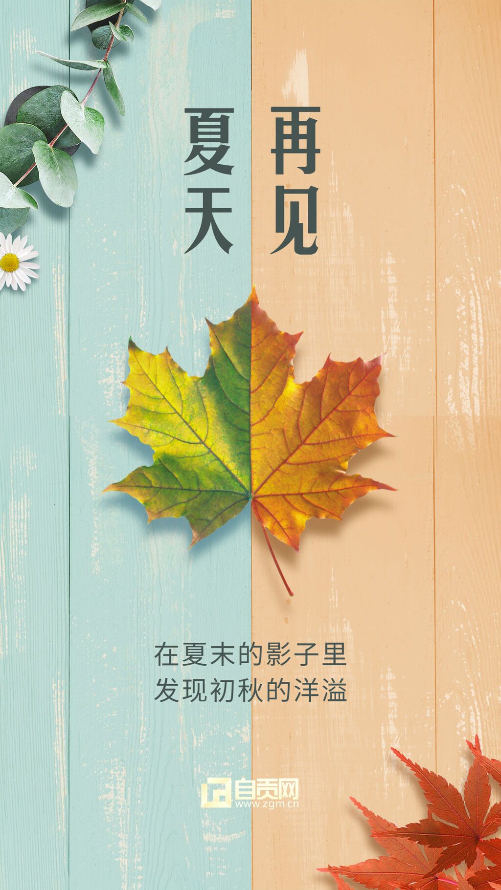 處暑 再見夏天.jpg