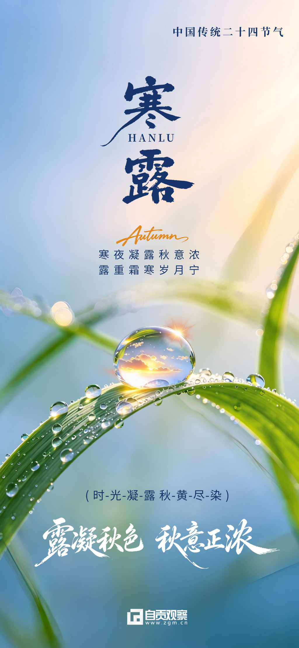 寒露节气房地产宣传清新海报。画面展示中国传统二十四节气中的寒露主题,绿色草叶与晶莹露珠体现秋日清晨景象。设计采用清新风格,底部包.png