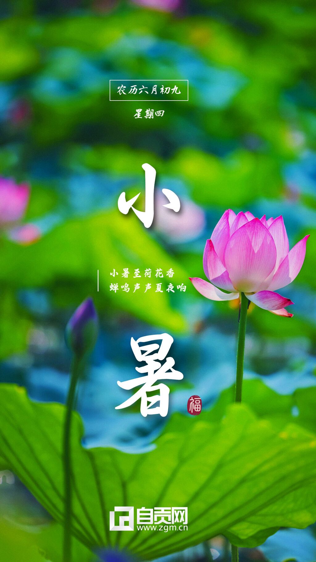 小暑海報(bào)2.jpg