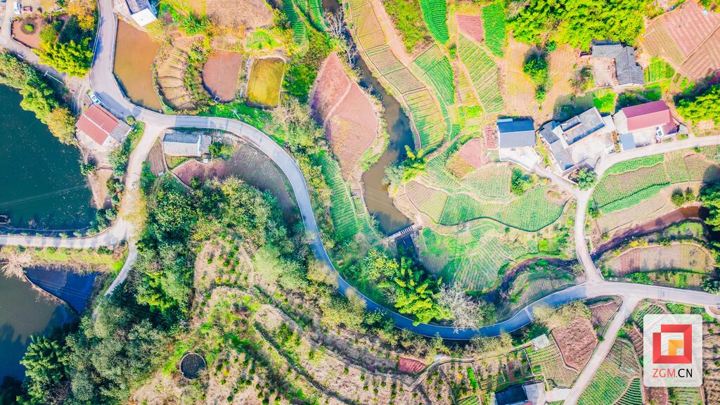 俯瞰共和村田是格，路是线，家是点 记者 宋姿熠 摄.jpg