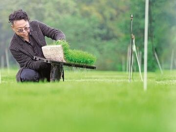 我的乡村超安逸丨“稻田园长”王丹：让每粒种子都成为VIP