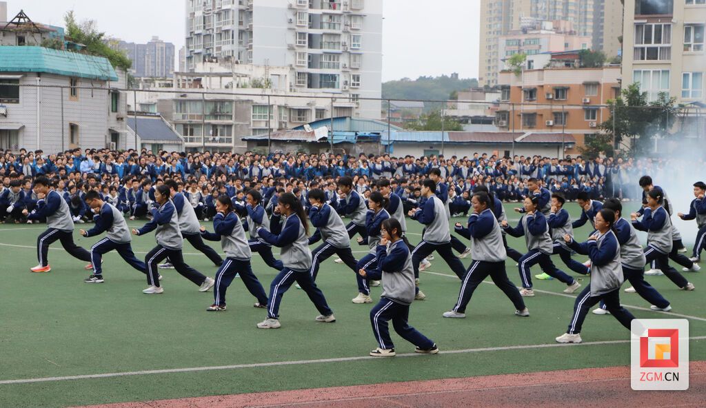 军体拳 记者 陈凡逸 摄.JPG